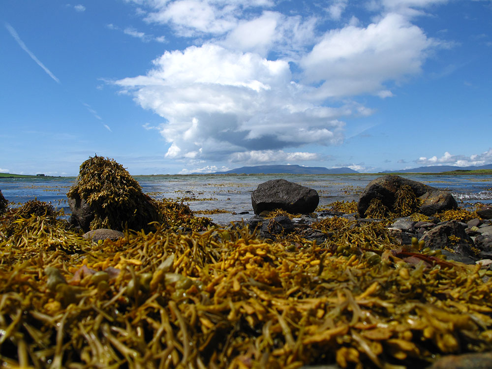 Road Trip in Ireland - Clew Bay