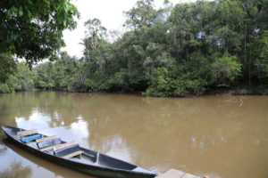 Canoeing on Ecuador's Amazon Basin
