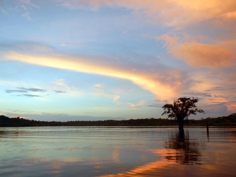 Ecuador's Amazon Basin Sunset 