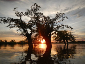 Sunset at Ecuador's Amazon Basin