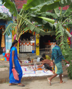 Banana Palms for Deepawali in Janakpur