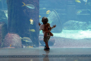 Checking out some fish at Atlantis Paradise Island!