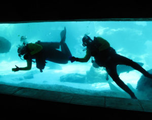 Atlantis Scuba Diving