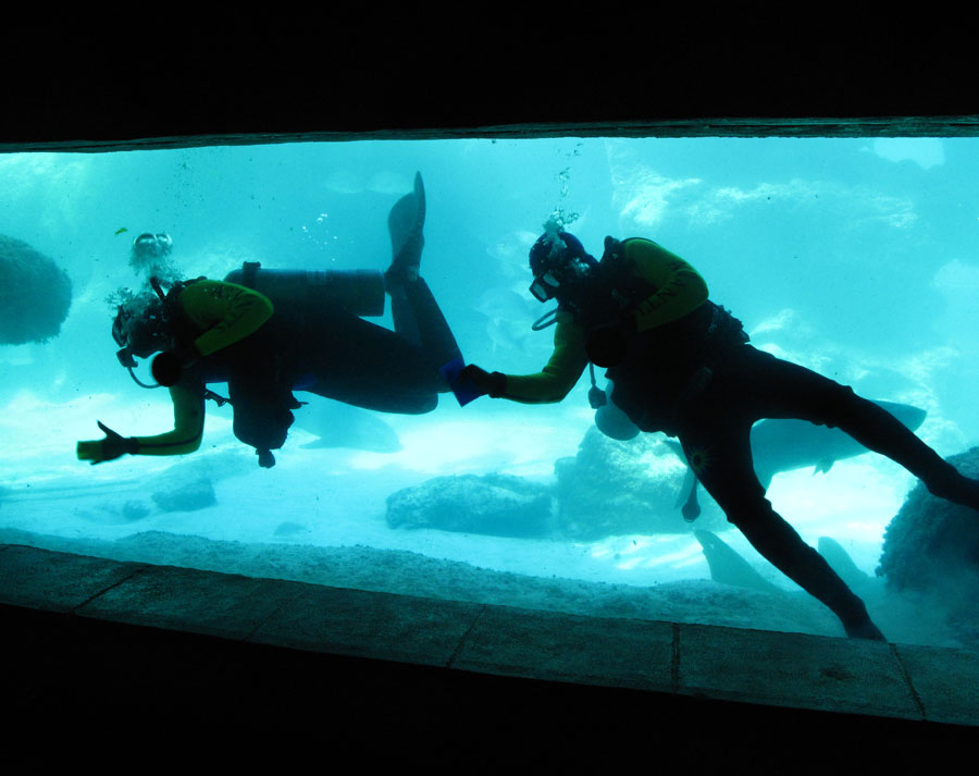 Atlantis Scuba Diving