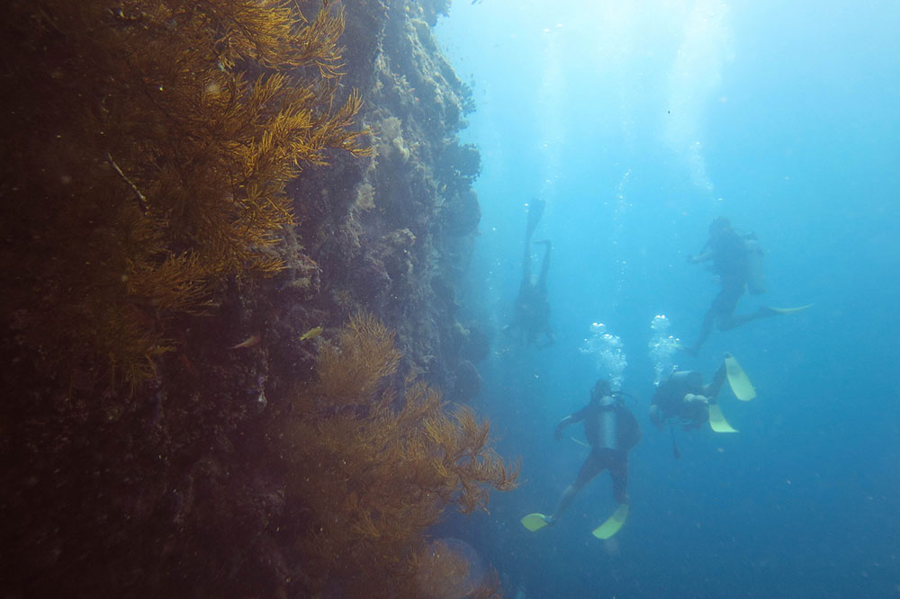 Diving Sipadan Borneo Malaysia