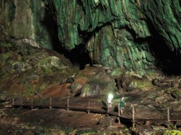 Mulu National Park - Borneo Caves