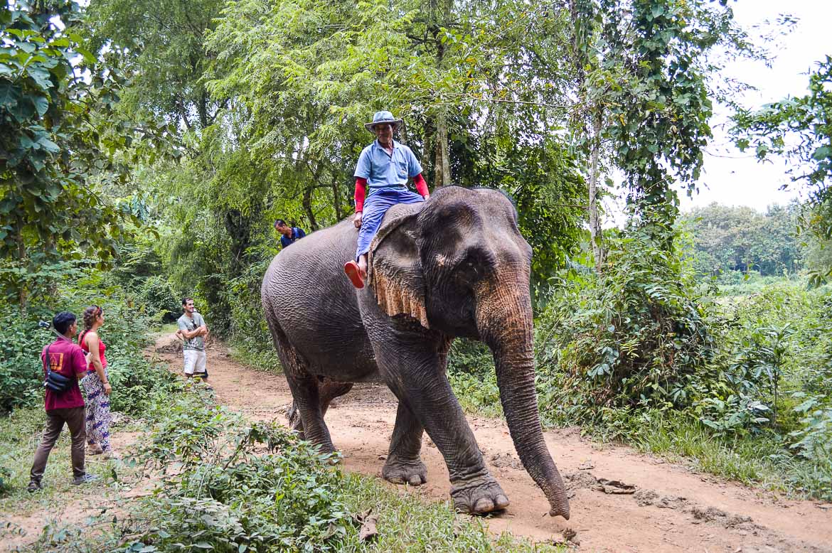 Luang Prabang Travel - elephant reserve