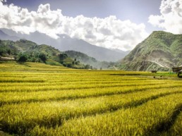 Vietnam Travel Guide - Sapa