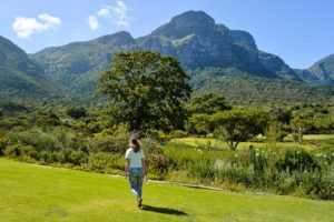 South Africa Road Trip - Cape Town Botanical Gardens