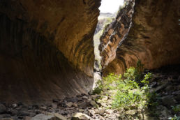 South Africa Road Trip Golden Gate Highlands National Park