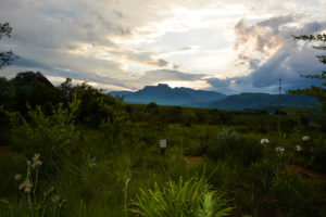 South Africa Road Trip Drakensberg Mountains