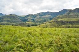 South Africa Road Trip Drakensberg Mountains