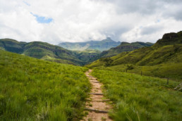 South Africa Road Trip Giant's Castle Game Reserve