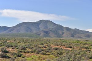 South Africa National Parks - Richtersveld Transfrontier Park