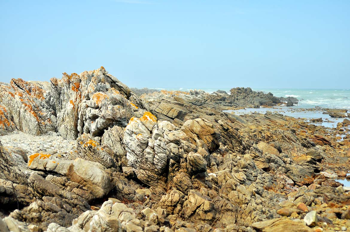 South Africa's National Parks - Agulhas National Park