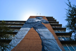 Curiocity Hostel Johannesburg Maboneng - Mandela Mural