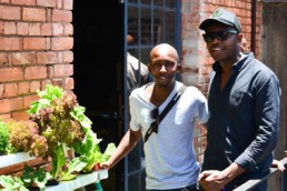 Curiocity Hostel Johannesburg Maboneng - Bheki Dube