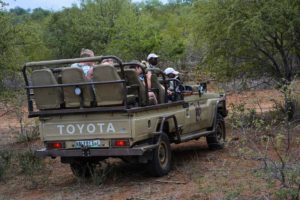Kruger Safari Self-Drive versus Private Game Lodge - Safari Vehcile
