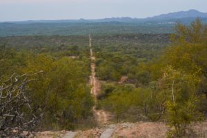 Kruger Safari Self-Drive versus Private Game Lodge - Balule