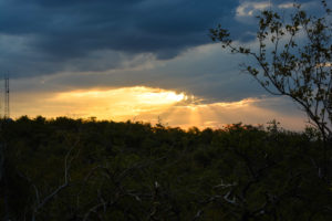 Kruger Safari Self-Drive versus Private Game Lodge sunset