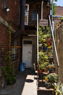 Curiocity Hostel Johannesburg Maboneng - Plant Stairs