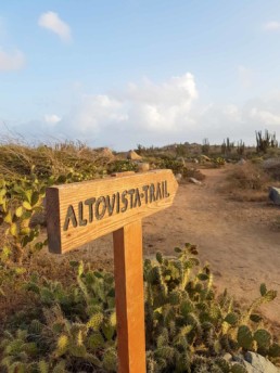 Aruba's Top Beaches, Aruba Travel Why Visit Now