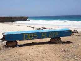 Aruba's Top Beaches