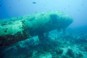 Scuba Diving in Aruba