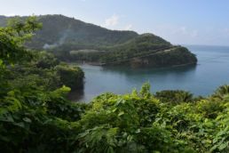 Grenada Cruise Port