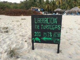 Puerto Escondido Travel Guide